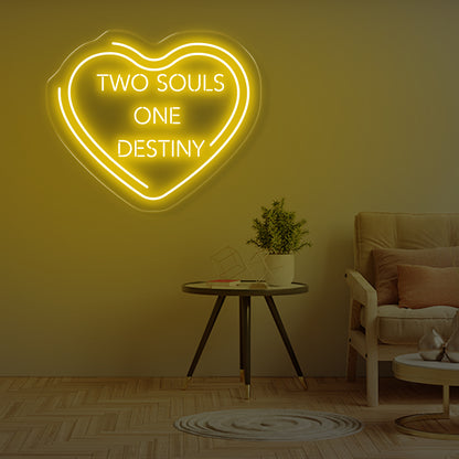 Two souls one destiny