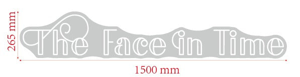 THE FACE IN TIME