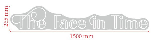 THE FACE IN TIME
