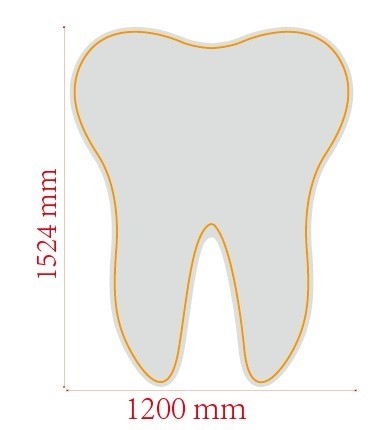 Tooth