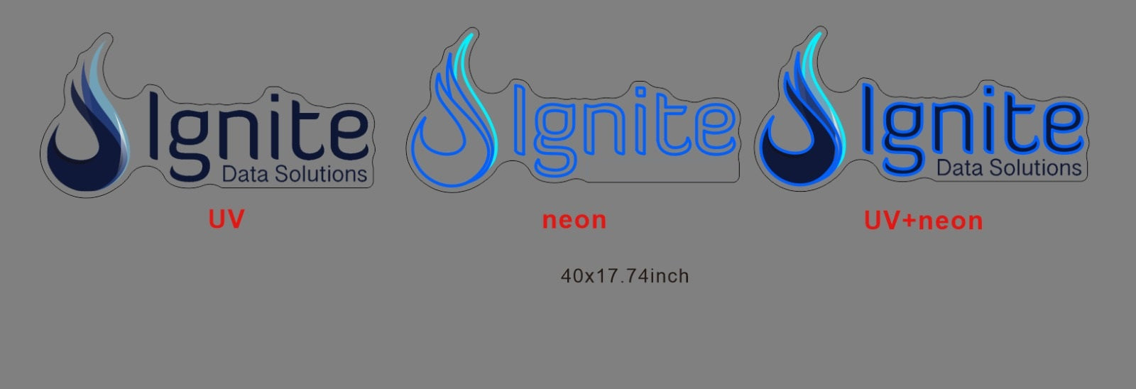 ignite data solution – Oasis Neon Signs