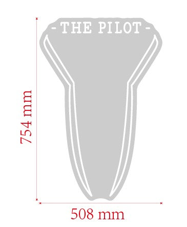 THE PILOT